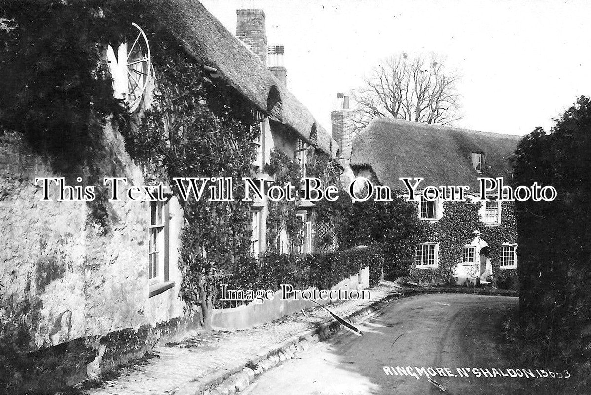 DE 1194 - Ringmore, Devon