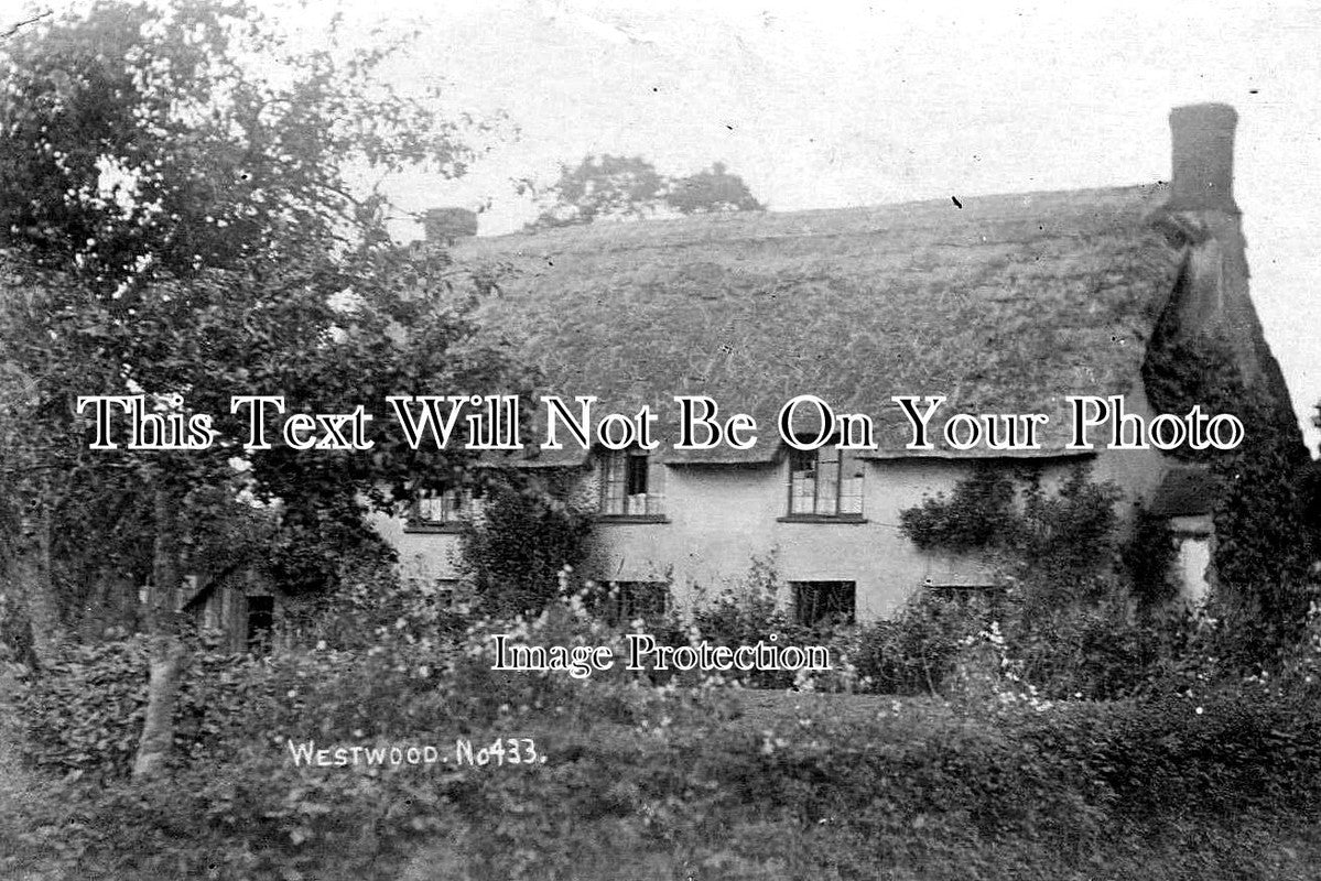 DE 1196 - Westwood, Devon c1907