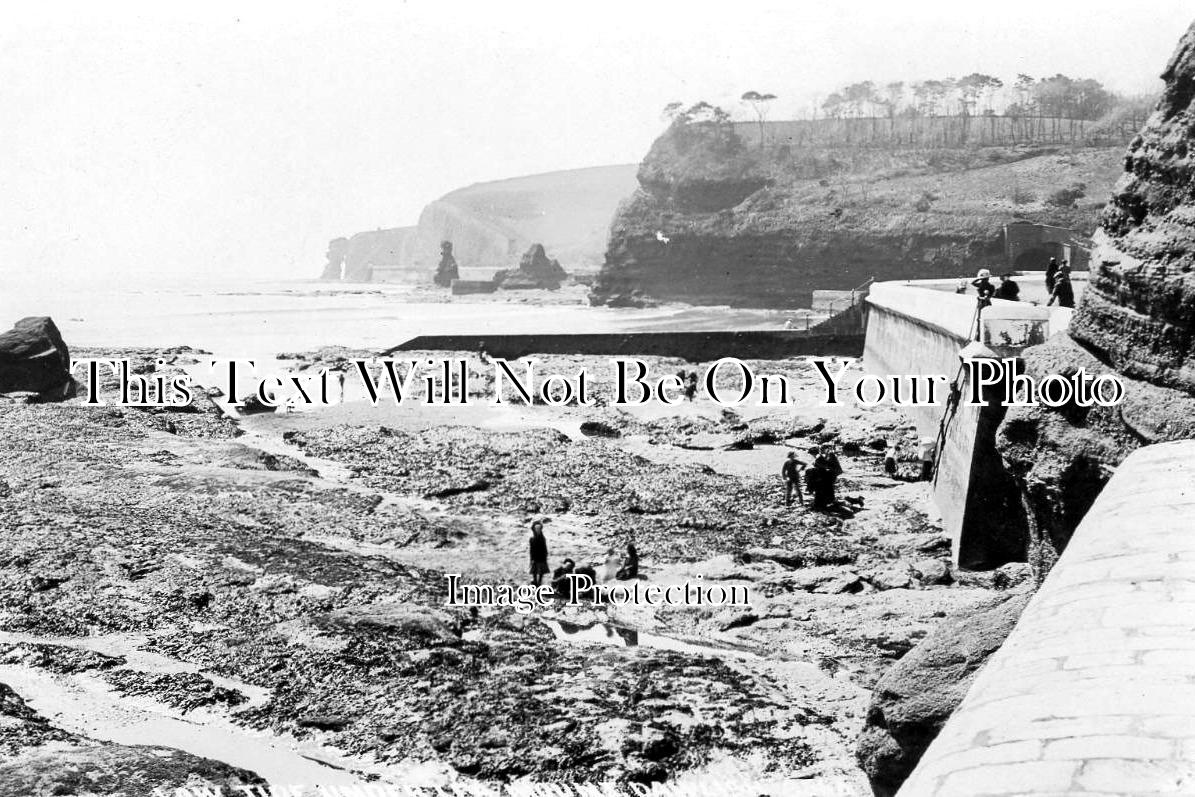 DE 1237 - Low Tide At Dawlish, Devon
