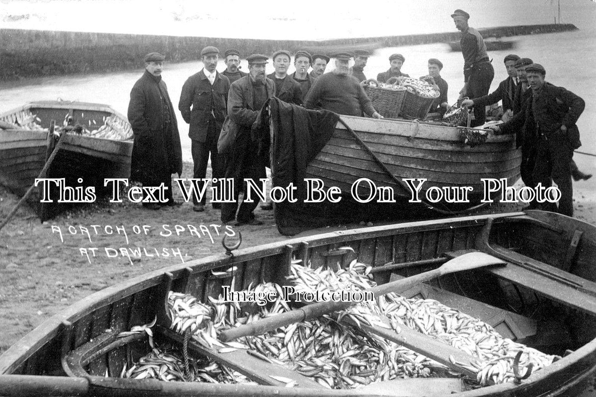 DE 1299 - Dawlish Fishermen, Catch Of Sprats, Devon