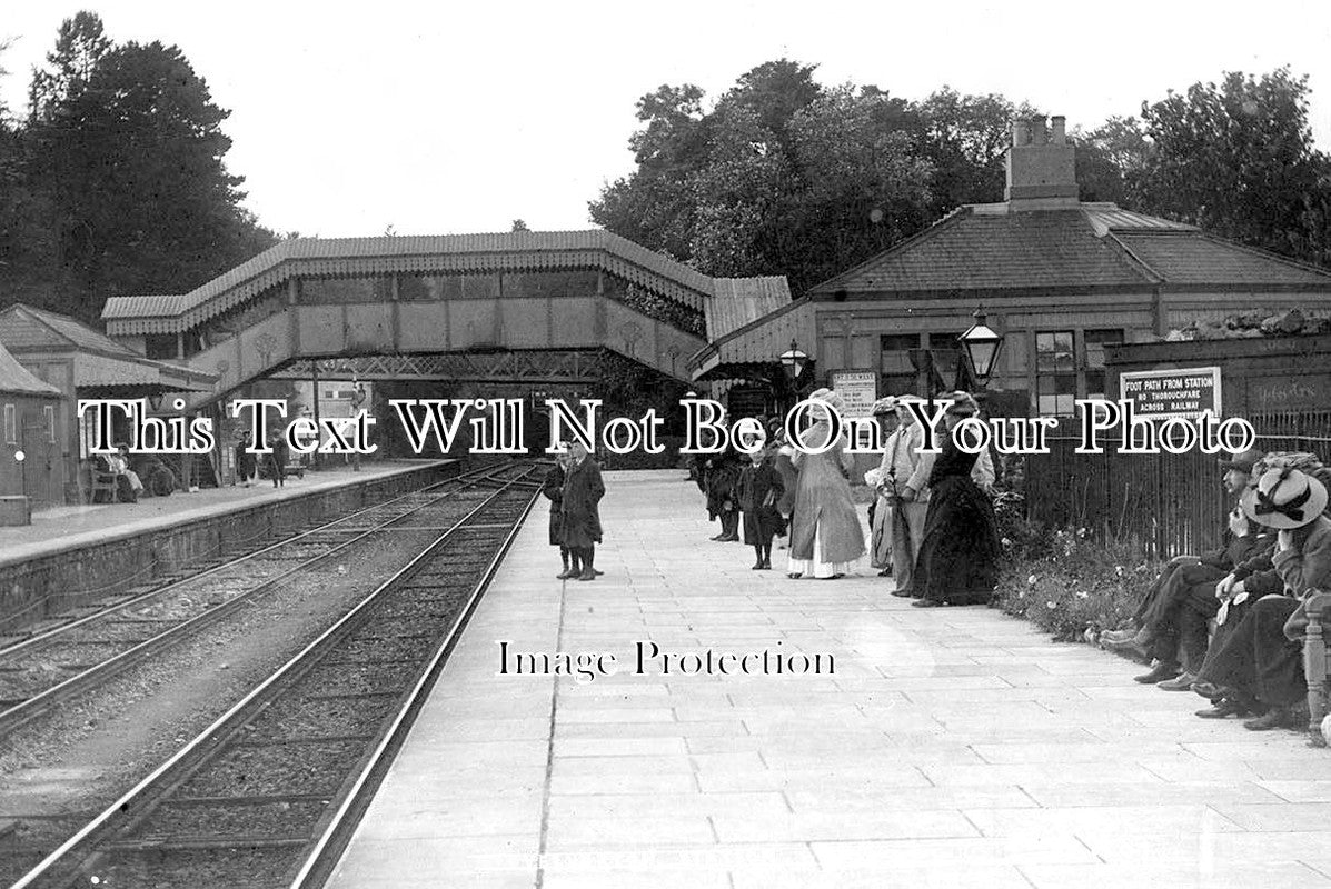 DE 1314 Yelverton Railway Station, Devon c1908 JB Archive