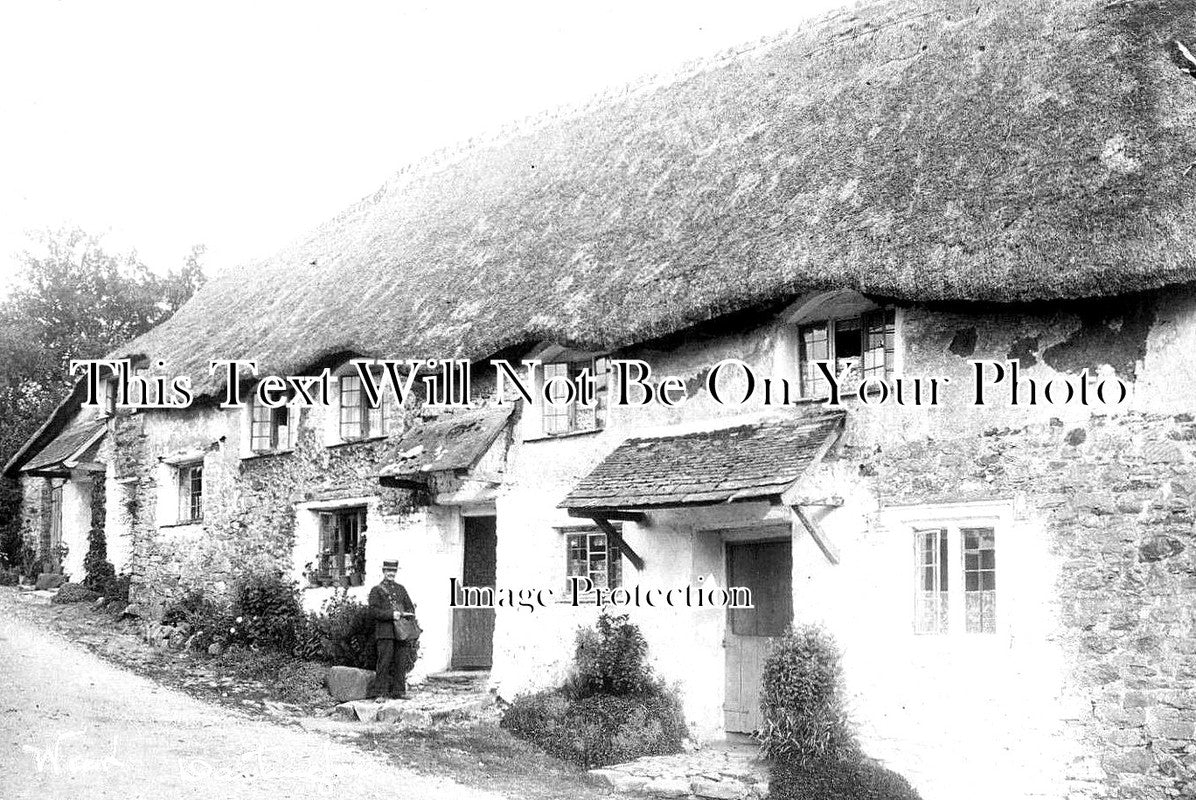 DE 1384 - Week Dartington, Totnes, Devon