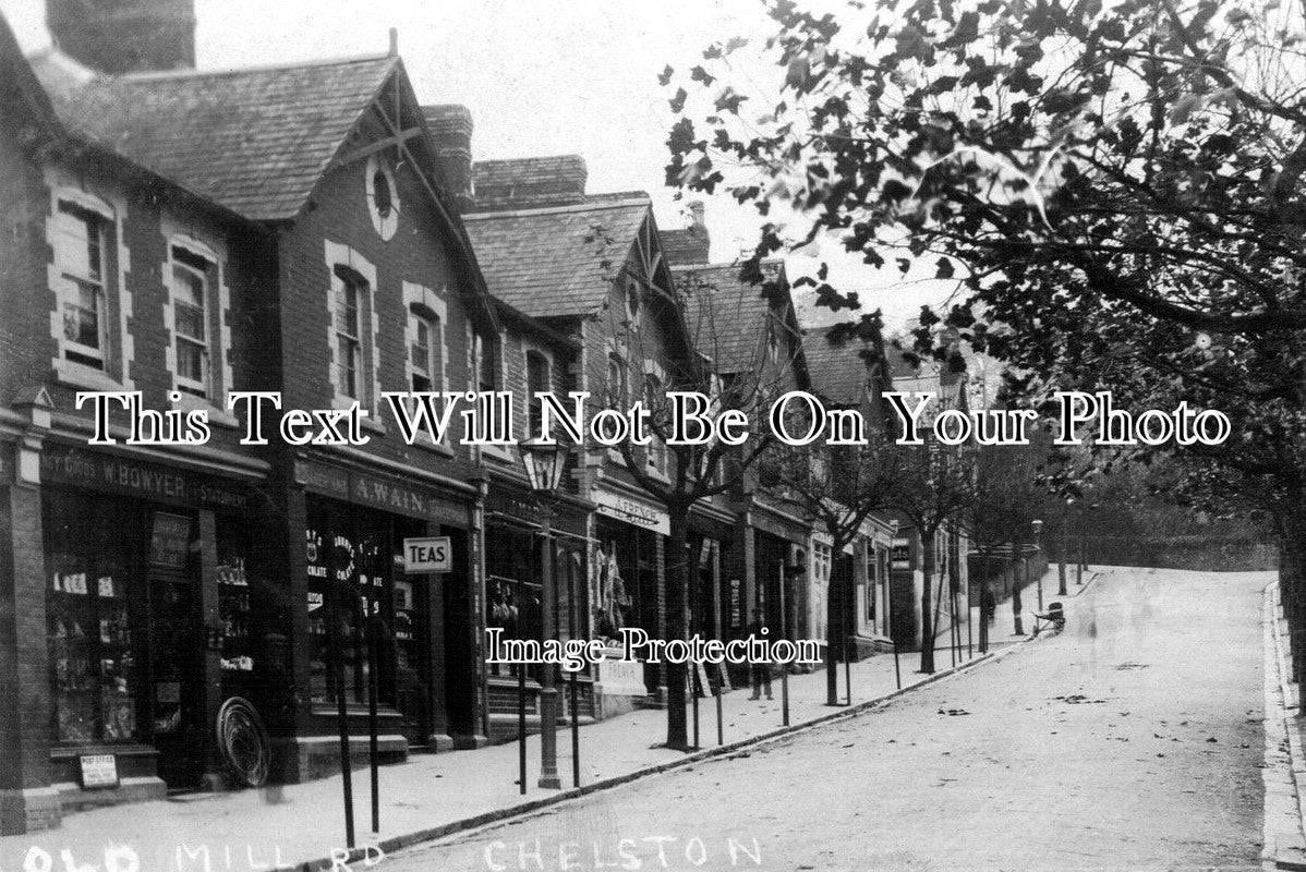 DE 17 - Chelston, Torquay, Devon c1919