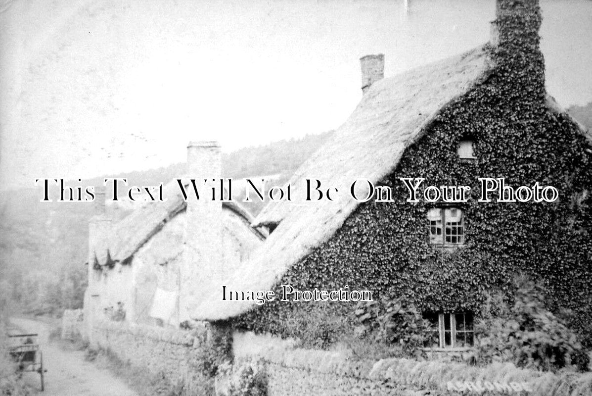 DE 1915 - Ashcombe Cottages, Devon c1908
