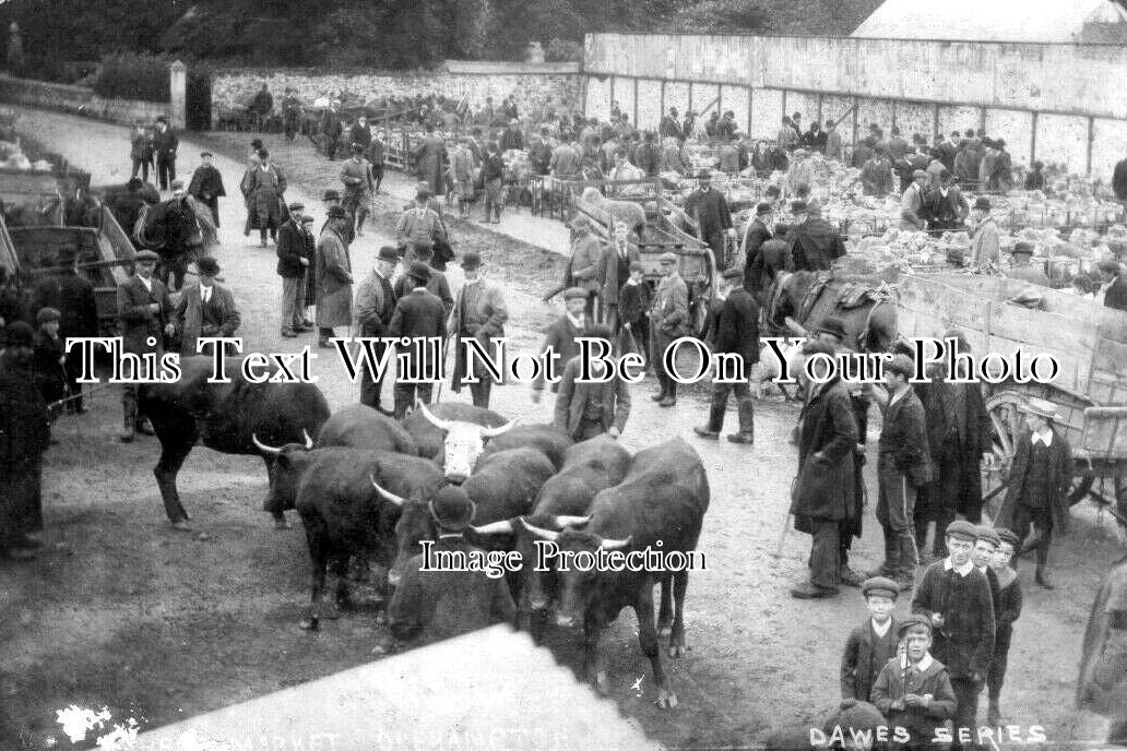 DE 2055 - Livestock Market, Okehampton, Devon
