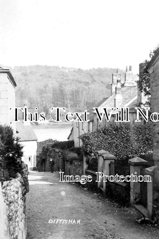 DE 2078 - Dittisham, Devon c1910