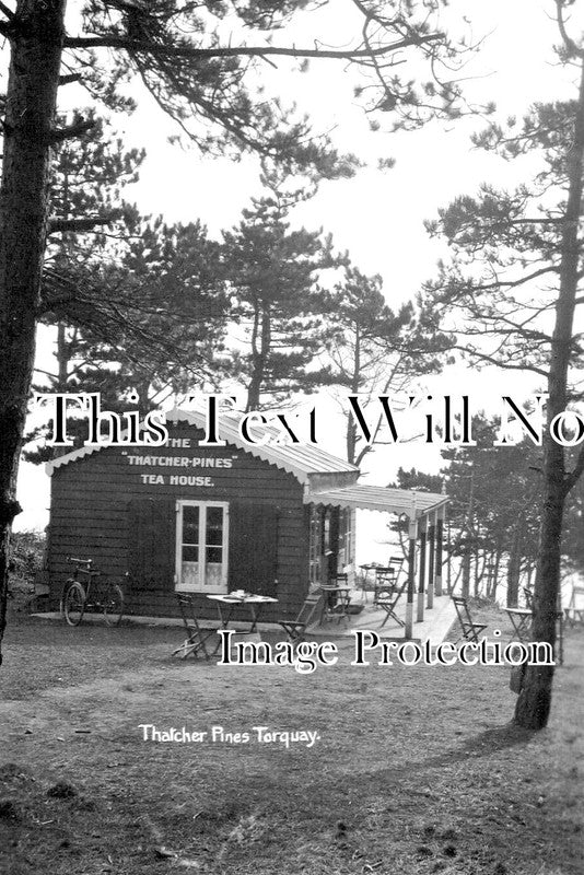 DE 2194 - Thatcher Pines Tea House, Torquay, Devon