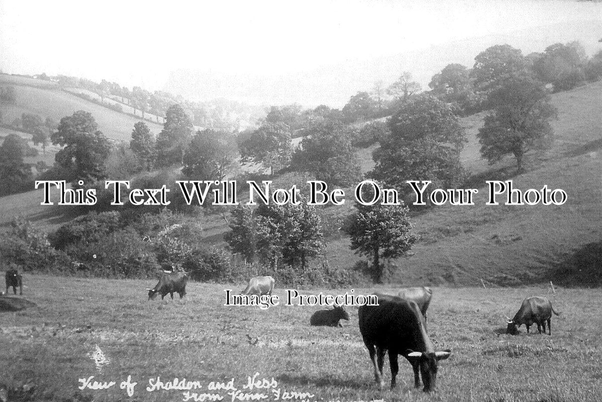 DE 2239 - Shaldon & Ness From Venn Farm, Teignmouth, Devon