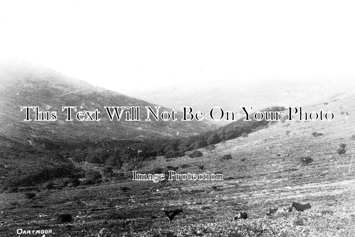 DE 2353 - Dartmoor, Devon