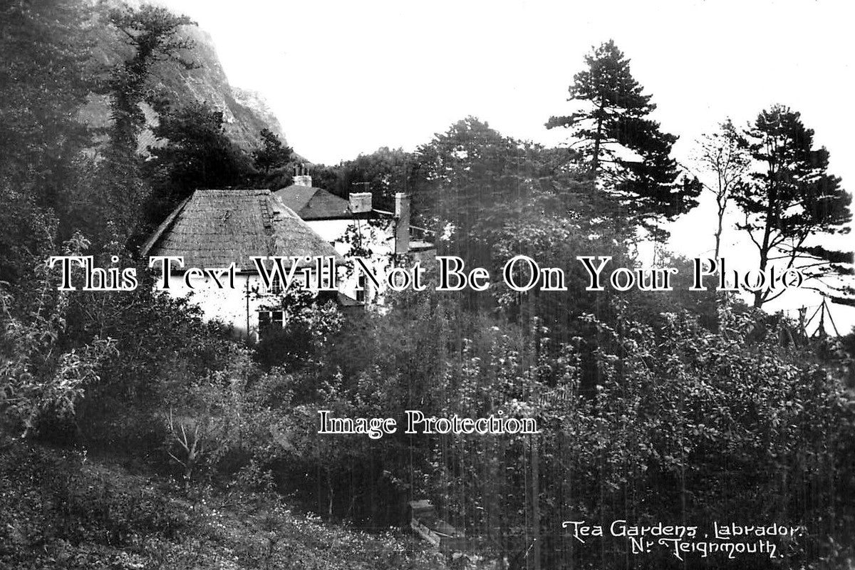 DE 2573 - Tea Gardens, Labrador, Teignmouth, Devon