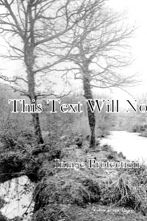 DE 2646 - Queen Of The Dart, Dartmoor, Devon