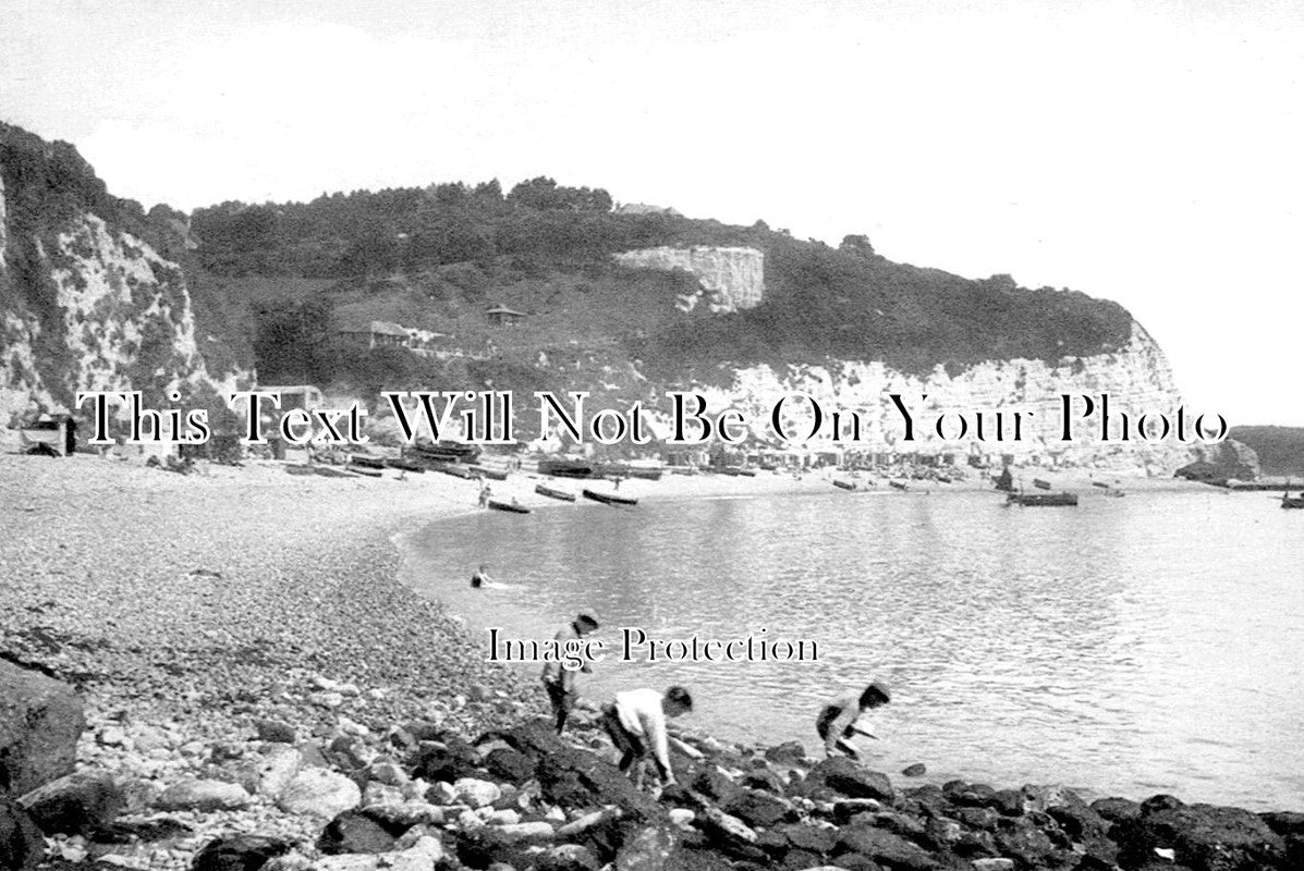 DE 2828 - Beer Looking East, Devon