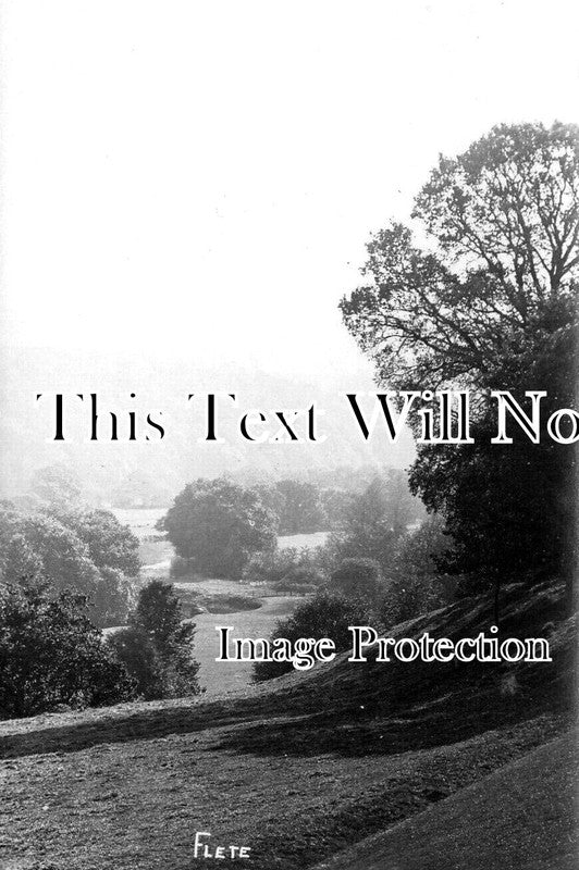 DE 2999 - Flete, Devon