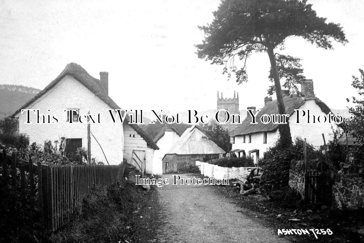 DE 3019 - Ashton, Devon c1928
