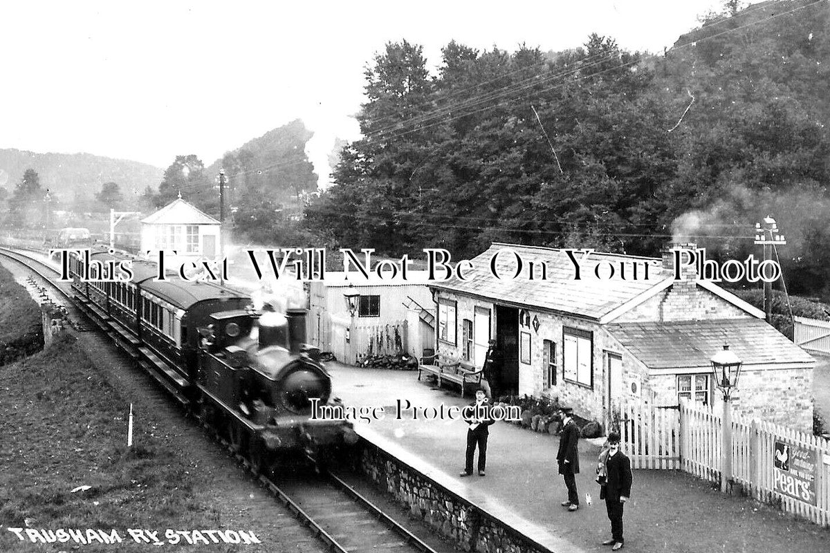 DE 3165 - Trusham Railway Station, Devon c1910