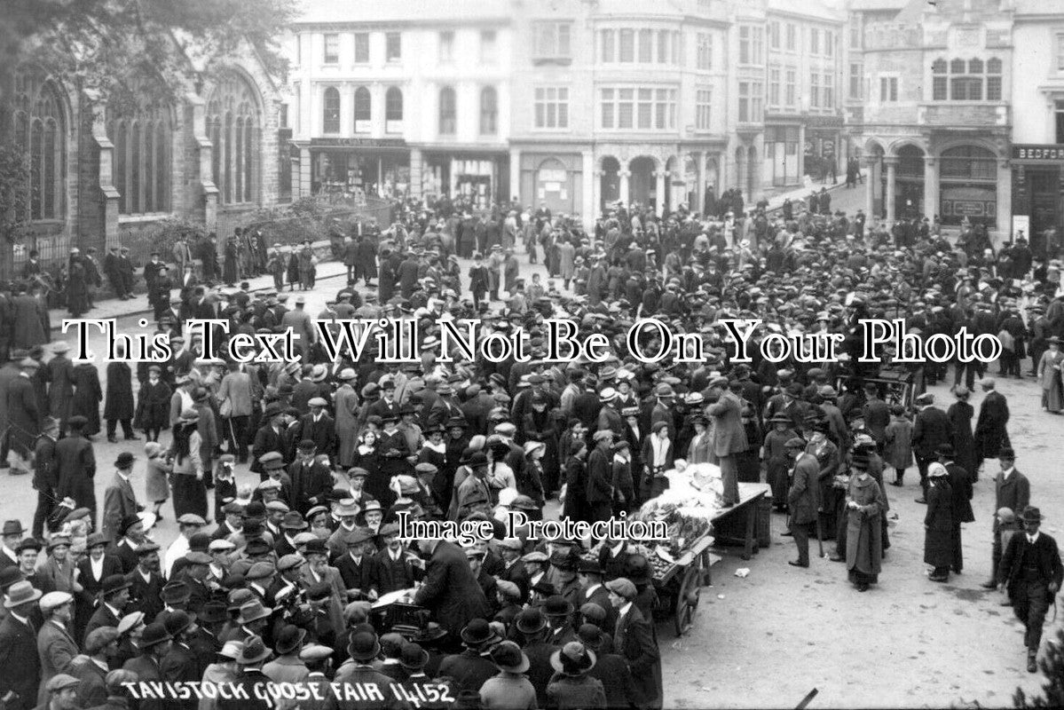 DE 3231 - Tavistock Goose Fair, Devon