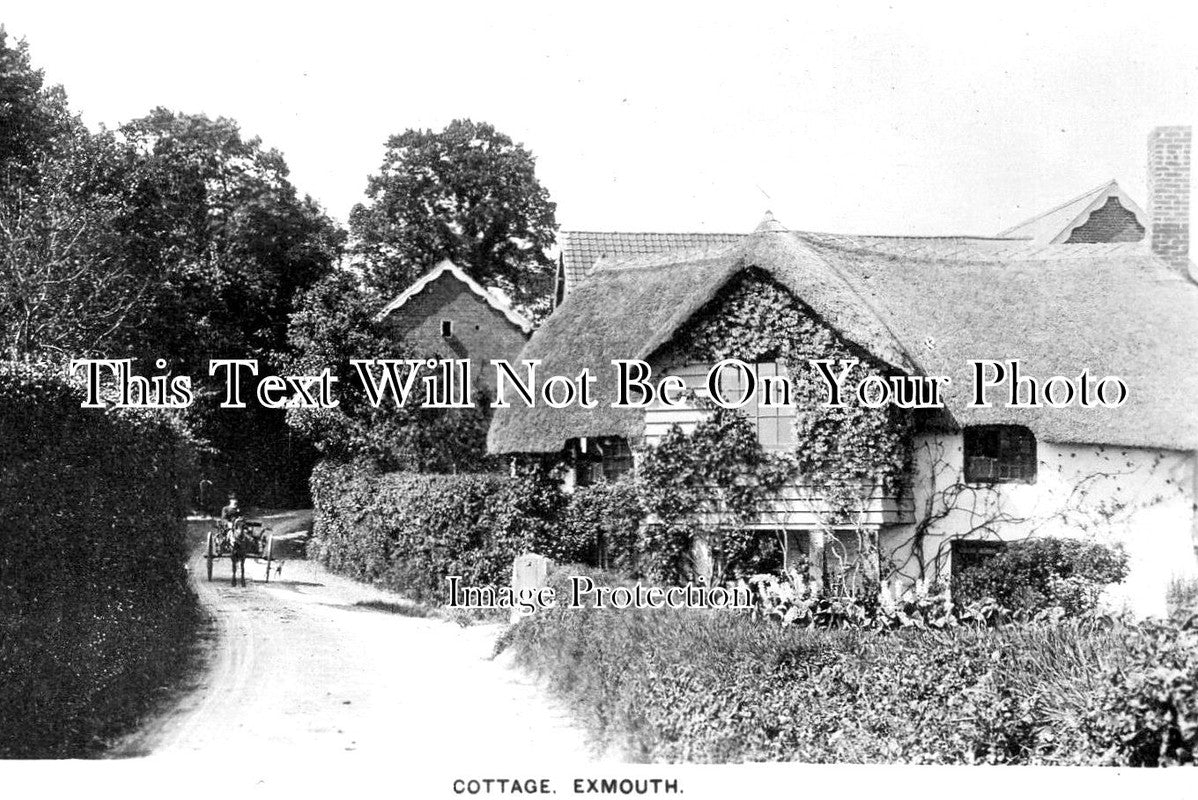DE 3251 - Cottage, Exmouth, Devon