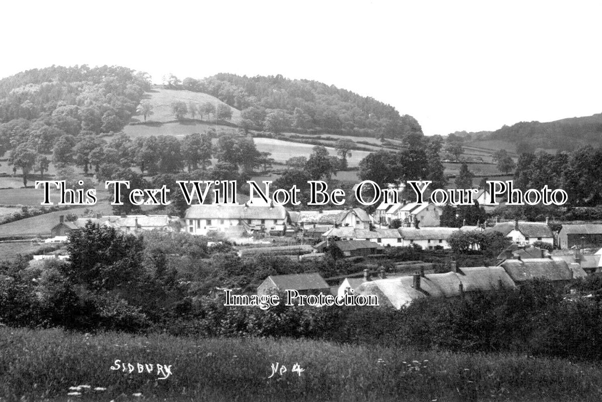DE 3291 - Sidbury, Devon