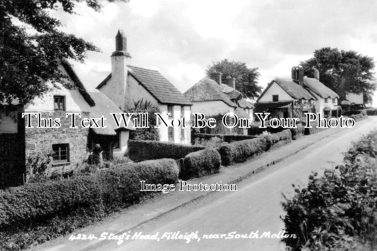 DE 3344 - Stags Head, Filleigh, South Molton, Devon