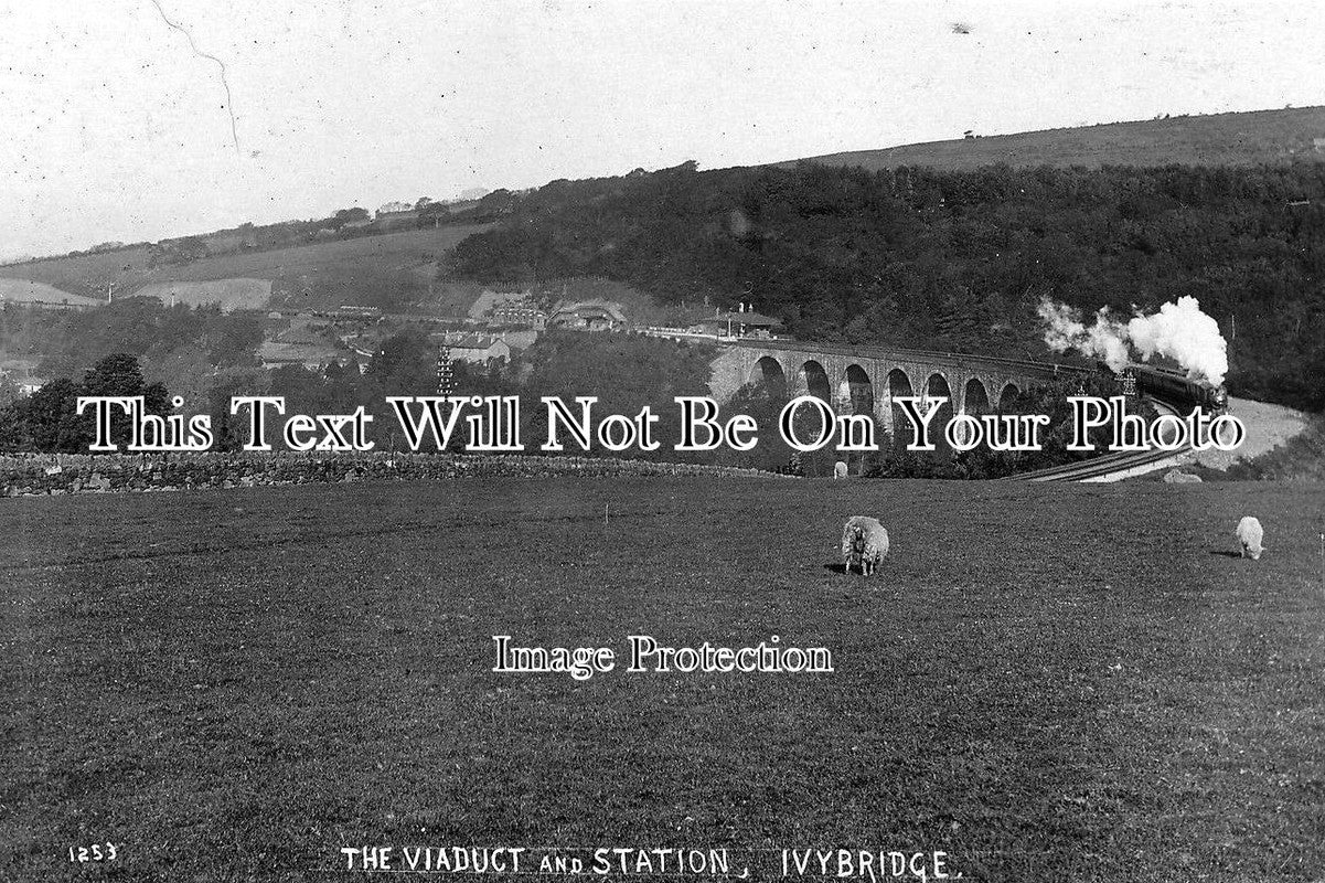 DE 363 - Ivybridge Viaduct & Railway Station, Devon