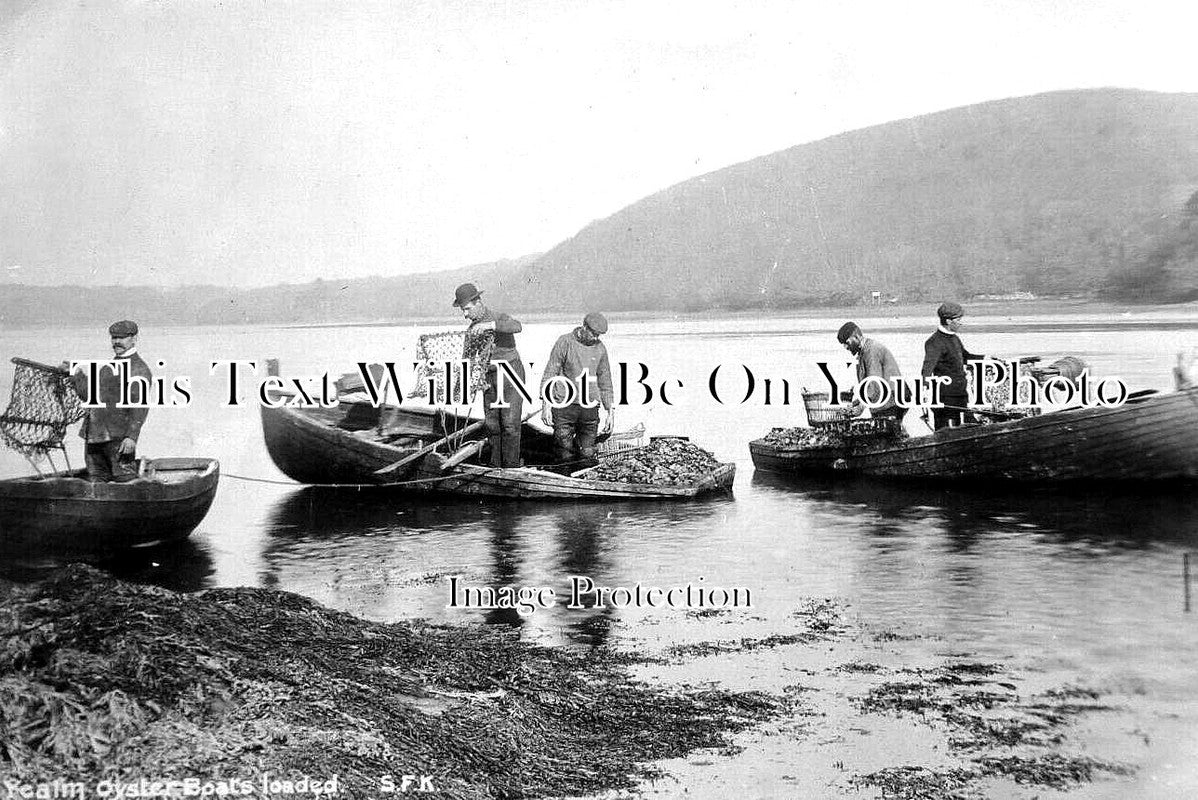 DE 3832 - Oyster Boats Loaded, Yealm, Devon c1905