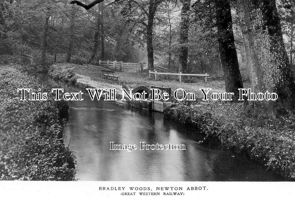 DE 3887 - Bradley Woods, Newton Abbot, Devon