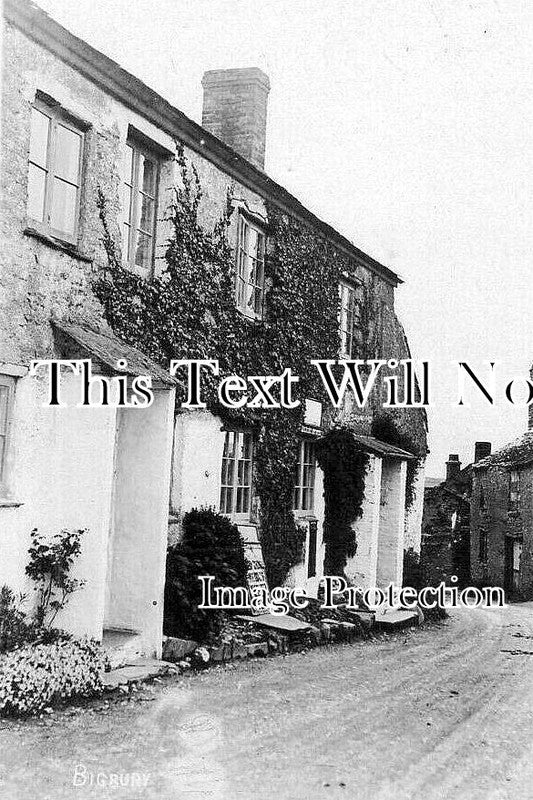 DE 3909 - Bigbury, Devon c1925