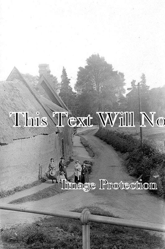 DE 3927 - Rosemary Lane Near Hemyock, Cullompton, Devon c1916