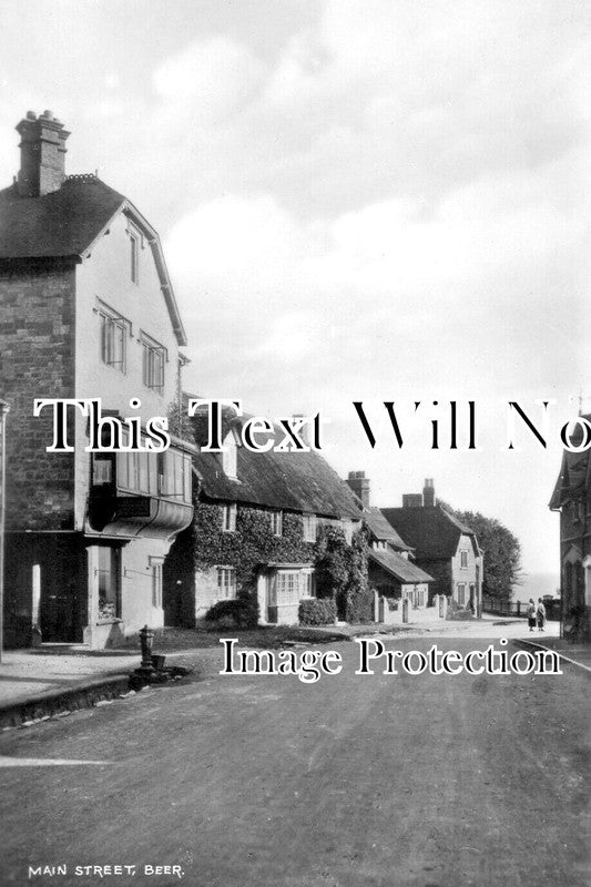DE 3992 - Main Street, Beer, Devon c1943