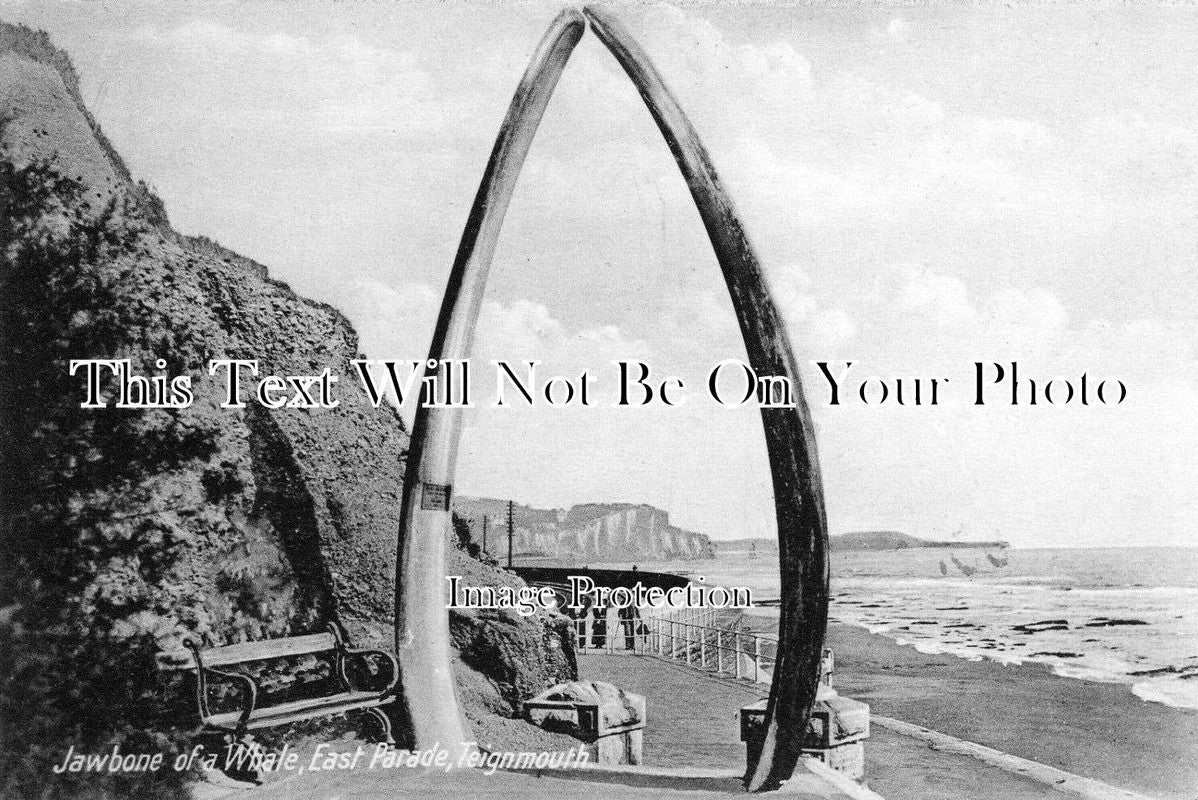 DE 4147 - Whale Jawbone Arch, East Parade, Teignmouth, Devon