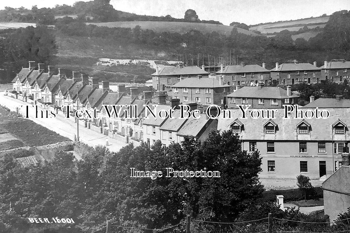 DE 4167 - Beer, Devon c1925