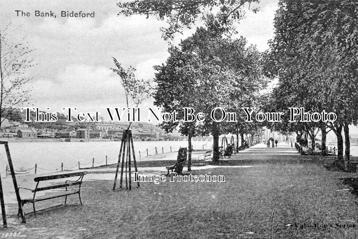 DE 4174 - The Bank, Bideford, Devon c1903
