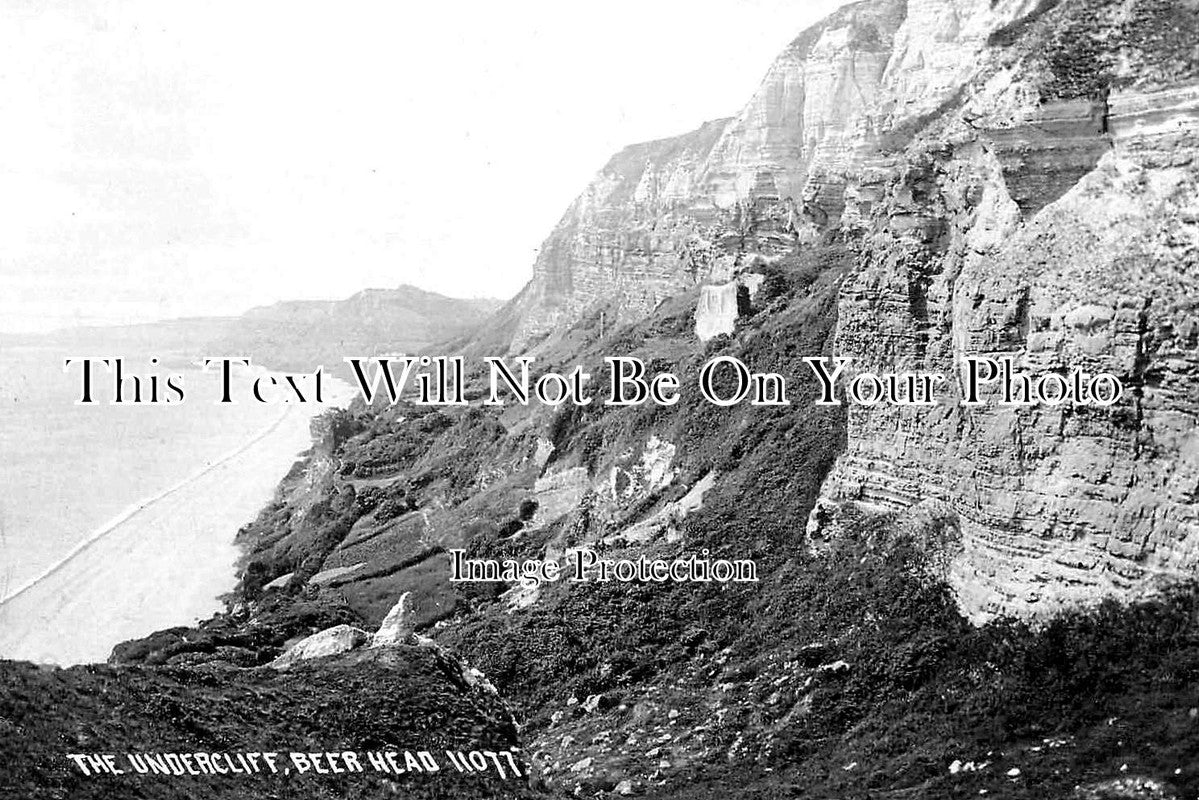 DE 4317 - The Undercliff, Beer Head, Devon