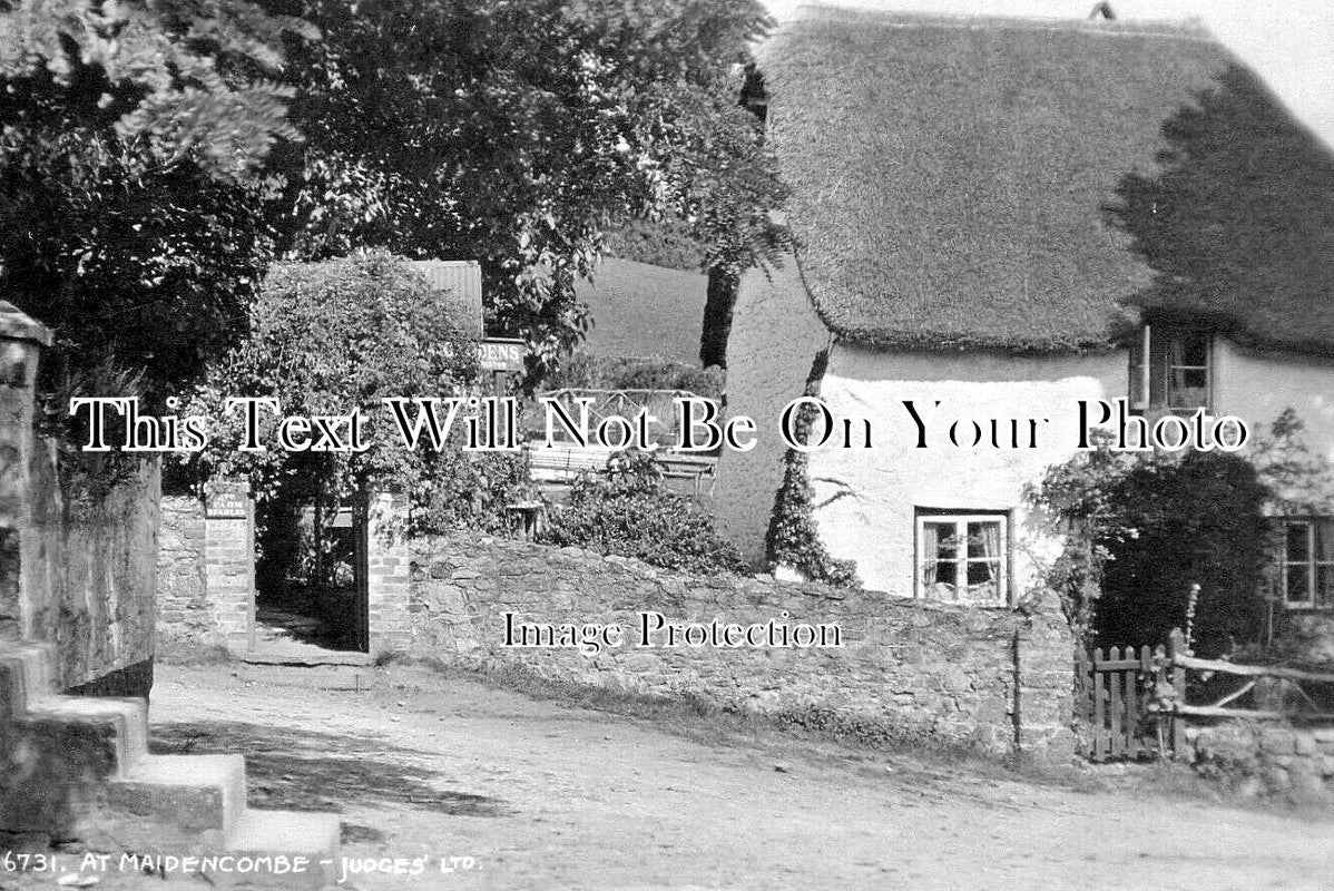 DE 4483 - At Maidencombe, Devon c1922