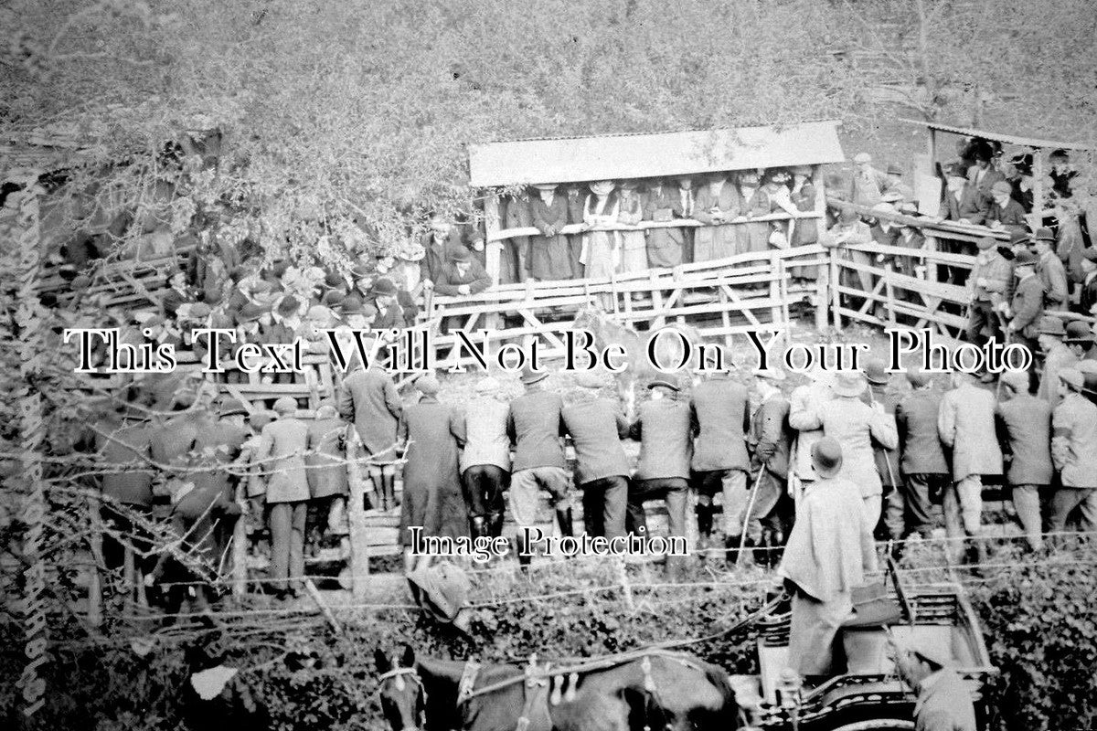 DE 642 - Bampton Country Show Fair Horse Auction, Devon c1906