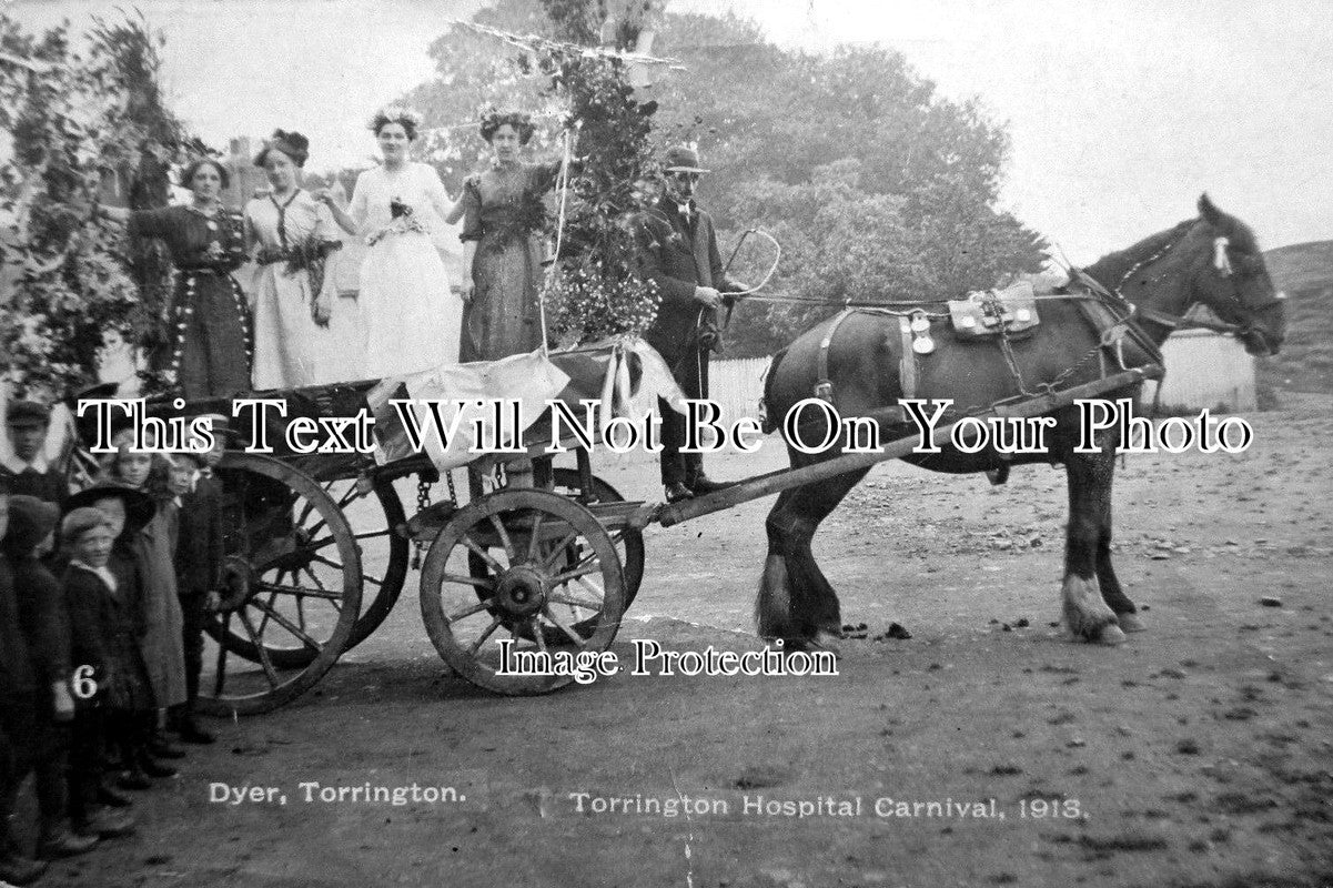 DE 643 - Torrington Hospital Carnival, Devon 1913