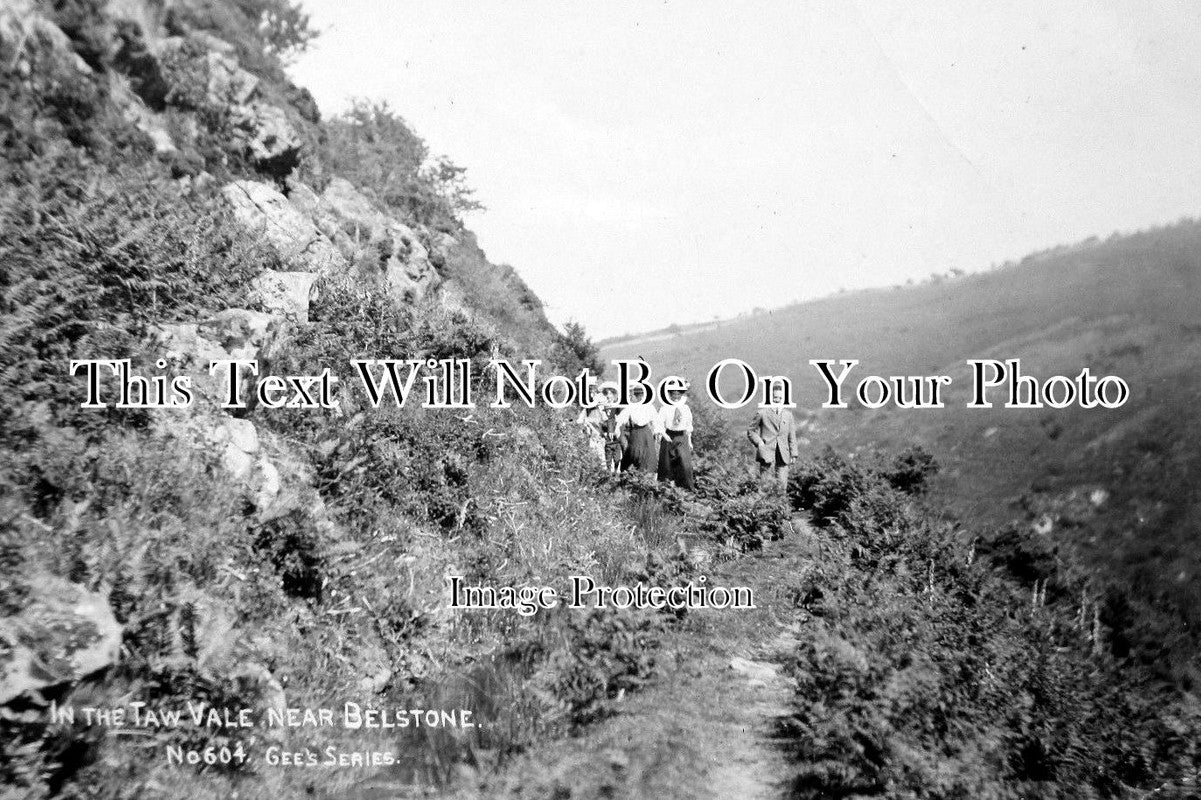 DE 77 - In The Taw Vale Nr. Belstone, Devon c1910