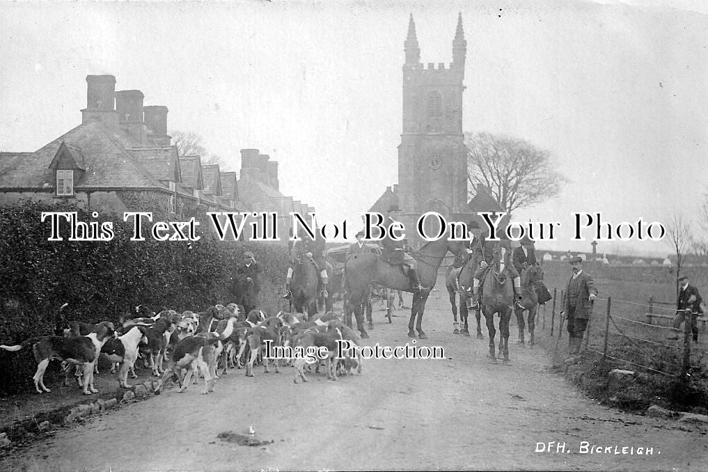 DE 816 - Devon Foxhounds At Bickleigh, Devon c1920