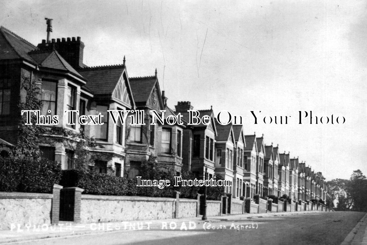 DE 882 - Chestnut Road, Plymouth, Devon