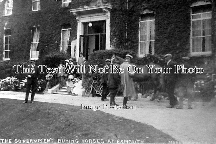 DE 983 - Government Buying Horses, Exmouth, Devon