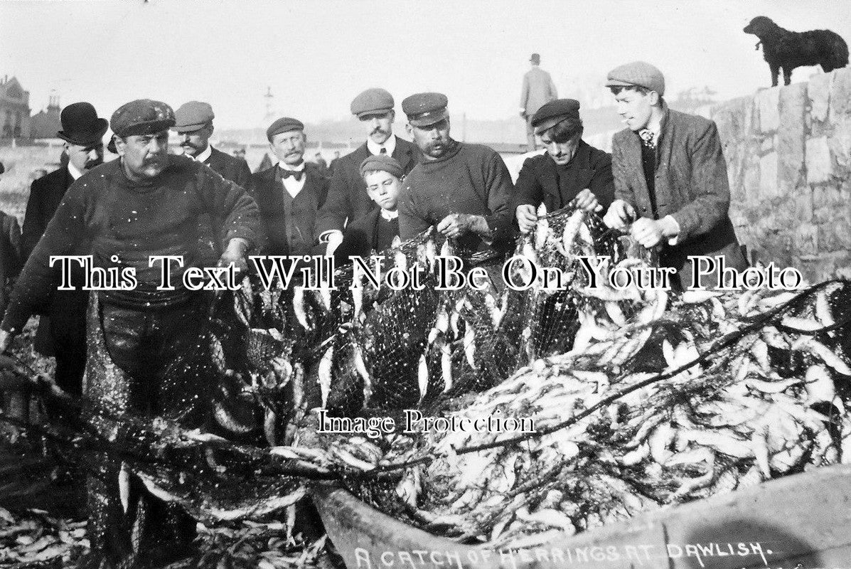 DE 988 - Dawlish Fishermen With Herring Catch, Devon