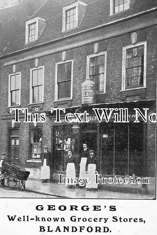 DO 152 - Grocery Store, Blandford, Dorset c1908
