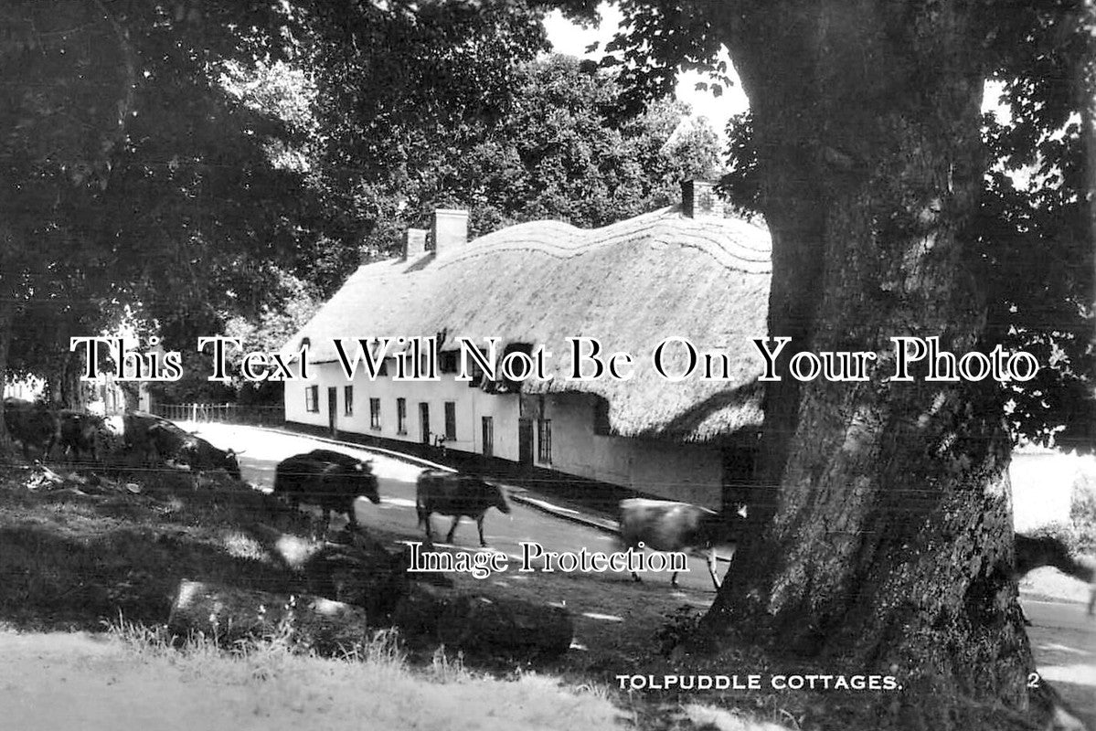 DO 2065 - Tolpuddle Cottages, Dorset
