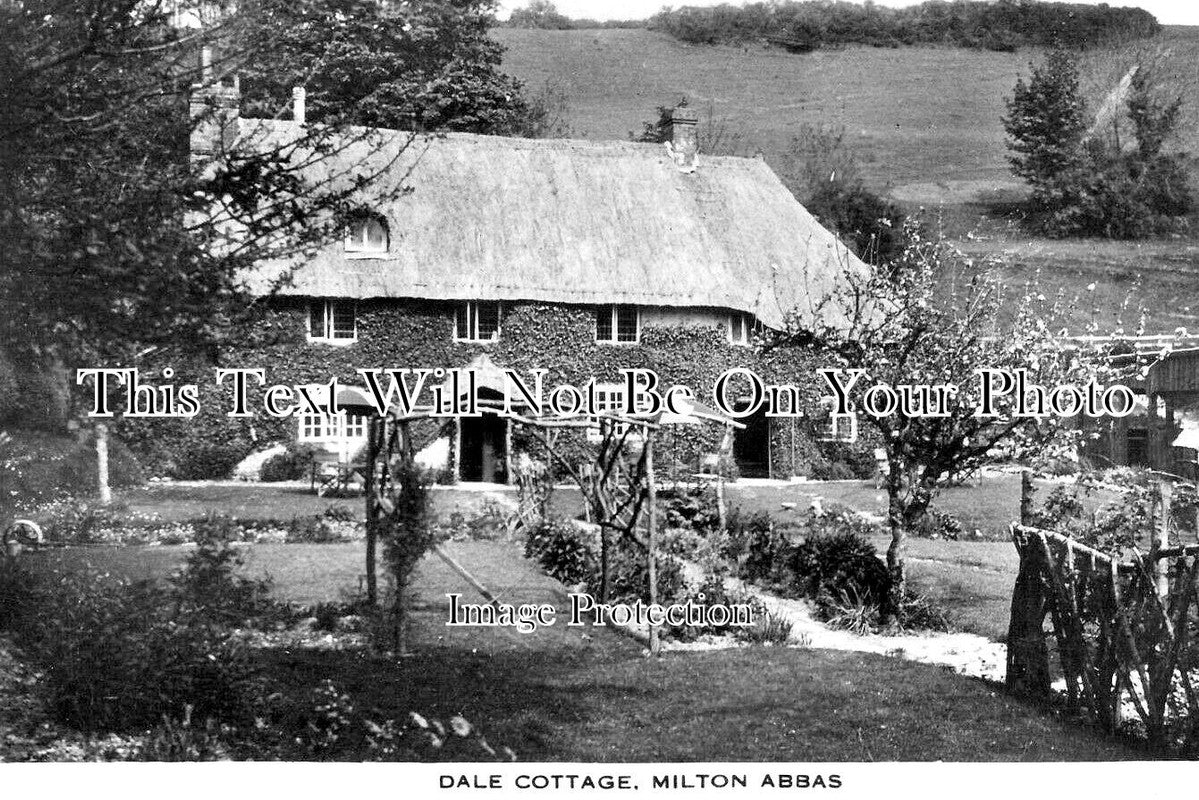 DO 2510 - Dale Cottage, Milton Abbas, Dorset