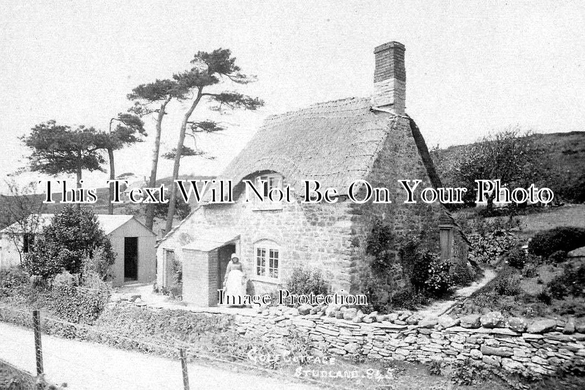 DO 2862 - Golf Cottage, Studland, Dorset