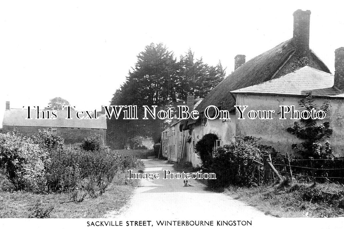 DO 3042 - Sackville Street, Winterbourne Kingston, Dorset