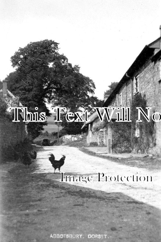 DO 3249 - Abbotsbury, Dorset