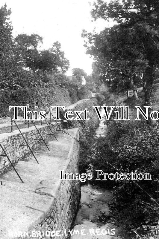 DO 3255 - Horn Bridge, Lyme Regis, Dorset