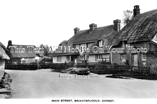 DO 3306 - Main Street, Briantspuddle, Dorset