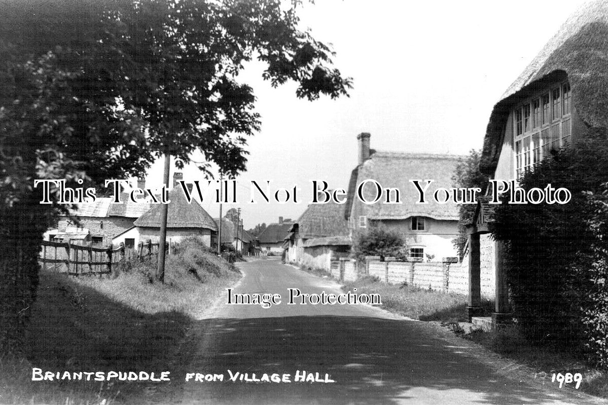 DO 3358 - Briantspuddle From Village Hall, Dorset